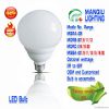LED Bulb