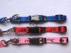 2013 hot selling Nylon dog collars & leashes