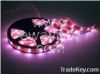 Top LED Flexible Strip