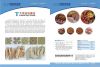Textured soya protein ...