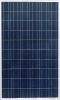 Poly 230W solar modules
