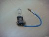 Auto Bulb H3 (Blue Wire)