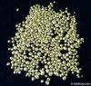 Master alloy for golds...