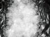 Caustic Soda 99%