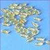 Fish Oil Soft Capsule