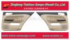 Door mould