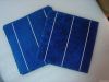 156*156mm poly solar cell