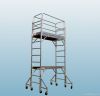 12 Ft. Alminum Multi-U...