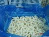 Frozen Squid Ring