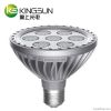 Kingsun---LED Spot Lig...