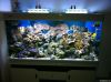 60 led aquarium light ...