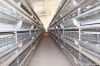 H type battery cage fo...
