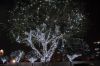 Led Snowfall Light (Le...