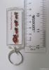 acrylic key chain, sho...