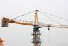 QTZ63 Tower Crane (521...