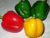 Capsicum, fresh pepper