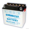 Motorbike Battery