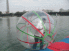 2012 HOT selling Inflatable water ball