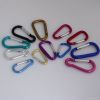 carabiner