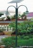 Solar Garden Lights  H...