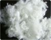 100% polyester staple fiber