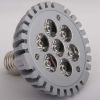 PAR 38 LED Light