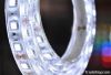 SMD5050 LED STRIP LIGHT