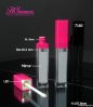 LED lip gloss tube wit...