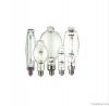 MH / HPS bulb
