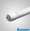 16W LED T8 tube China ...