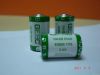 GEBC LiSOCI2 Battery E...