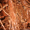 Copper Wire Scrap- ins...