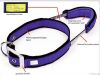 PET COLLAR
