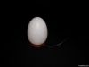 Rock Salt Egg Shape US...