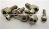 titanium  screws