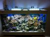 60W Dimmable LED Aquar...