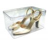 Glassy  Shoebox, The T...