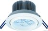 LED Ceiling Light