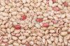 Natural dried pinto bean pieces mixed with pea pieces/high quality hamster food for sale