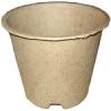 biodegradable pots and trays