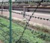 razor barbed wire