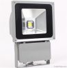 led floodlight