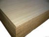 Bamboo Plywood Panels