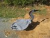 Crane Decoys Sentrys &...