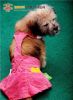 Hot Selling Pink Dog C...