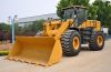 Mini Wheel Loader (5 t...