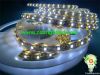 LED flexible strip