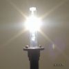 Hid Lamps With Various...