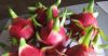 BINH THUAN DRAGON FRUIT