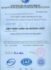 High chrome casting mi...